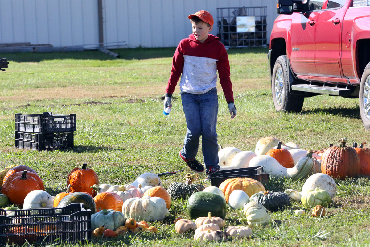 St Joseph Pumpkin Patch (14).jpg